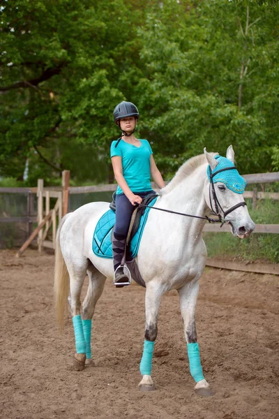 Chica jinete entrena al caballo en el curso de equitación en el día de verano —  Fotos de Stock