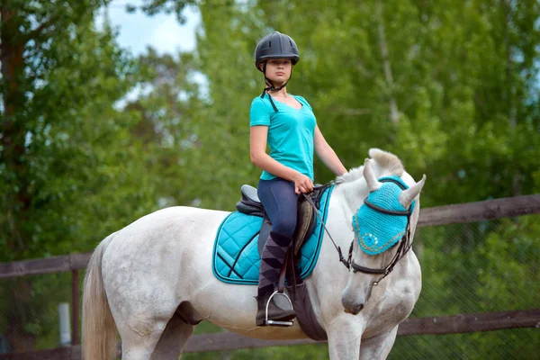 Menina cavaleiro treina o cavalo no curso de equitação no dia de verão — Fotografia de Stock