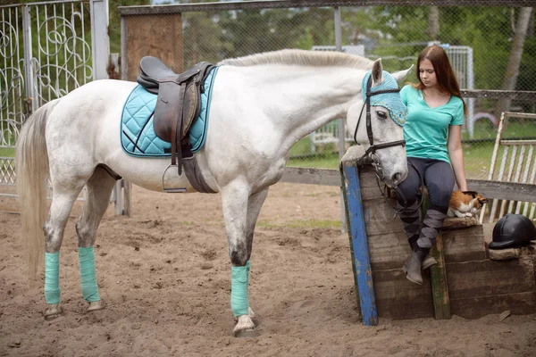 Chica jinete y su caballo para descansar cerca del establo después de montar —  Fotos de Stock