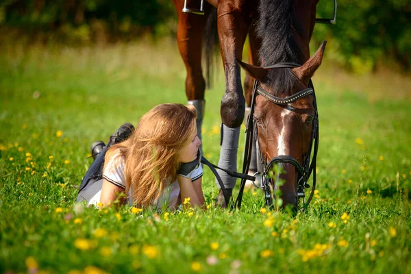 Retrato Uma Bela Jovem Cavaleira Seu Cavalo Marrom Prado — Fotografia de Stock