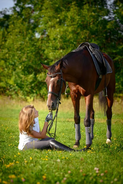 Porträtt Vacker Ung Flicka Ryttare Och Hennes Bruna Häst Äng — Stockfoto