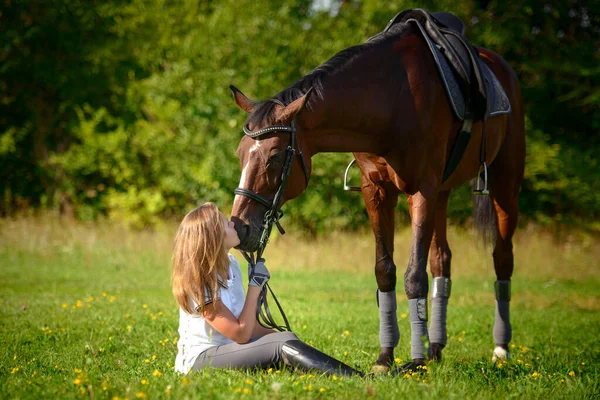 Porträtt Vacker Ung Flicka Ryttare Och Hennes Bruna Häst Äng — Stockfoto