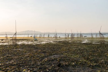 Tayland Nakhon Ratchasima Gölü Lam Takong Gölü 'nde geleneksel bambu tuzakları