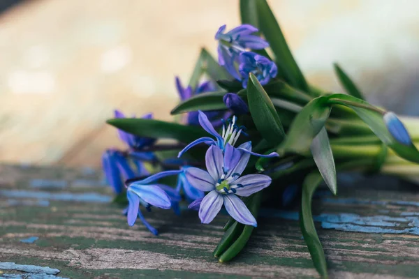 Un bouquet de flocons de neige bleus repose sur un fond en bois texturé — Photo