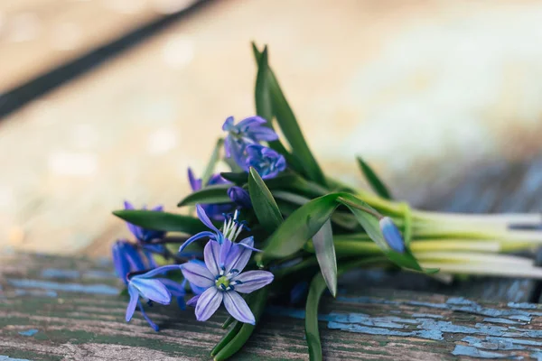 Un bouquet de flocons de neige bleus repose sur une table en bois texturé — Photo