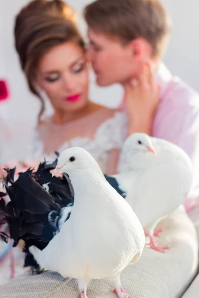 Palomas de boda sobre un fondo de una pareja —  Fotos de Stock