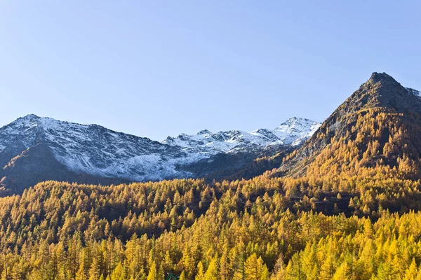 Snow covered peaks with autumn colors — Stock Photo, Image