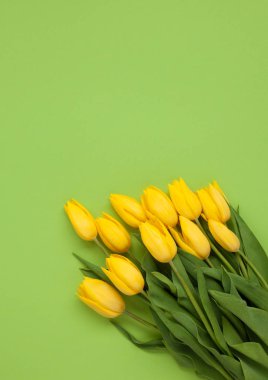 Yeşil izole Sarı laleler
