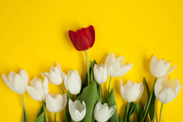 Ramo de flores blancas con una roja — Foto de Stock