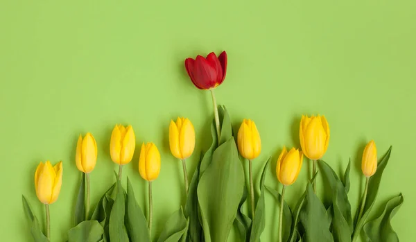 Tulipas amarelas e vermelhas de cima — Fotografia de Stock