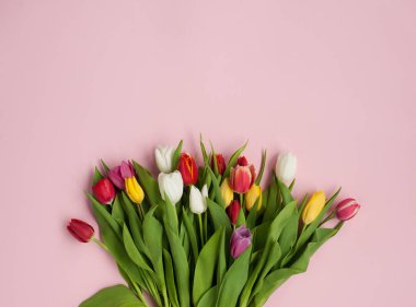 Pembe bir arka plan üzerinde renkli grup