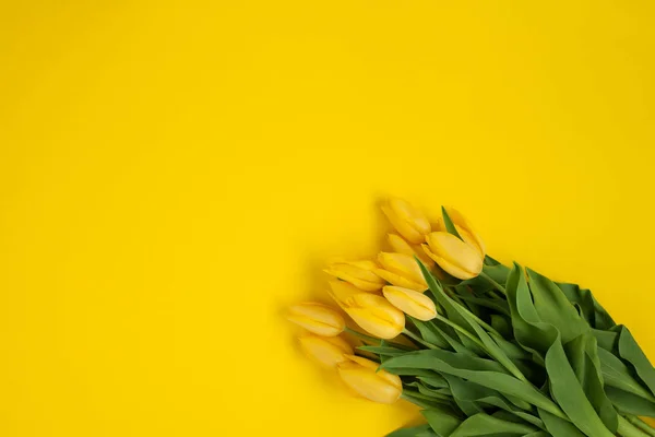 黄色のチューリップの束 — ストック写真