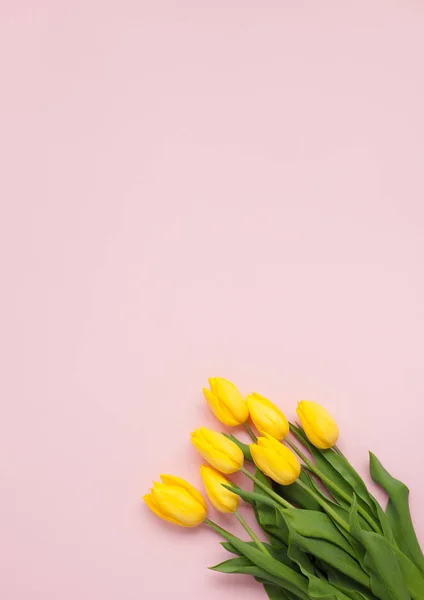 Tulpan bukett på pink — Stockfoto