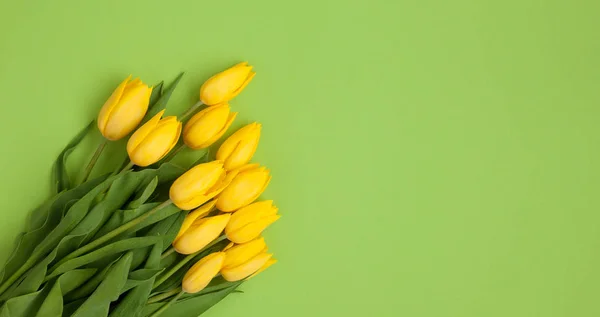Ramo de tulipanes amarillos sobre verde — Foto de Stock