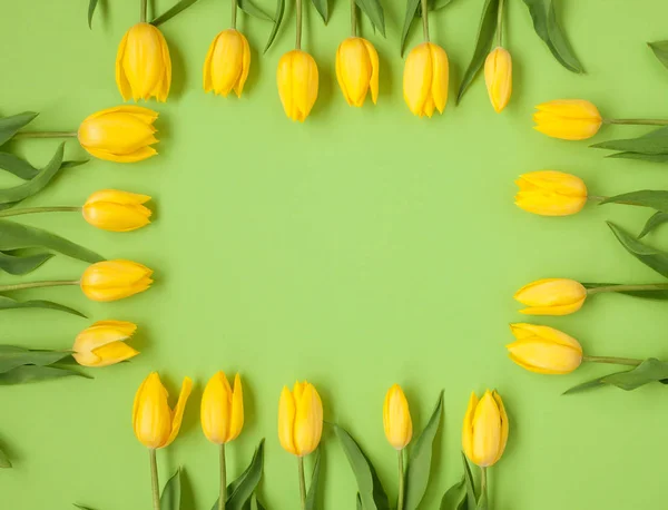 Tulipanes amarillos colocados en cuadrado — Foto de Stock