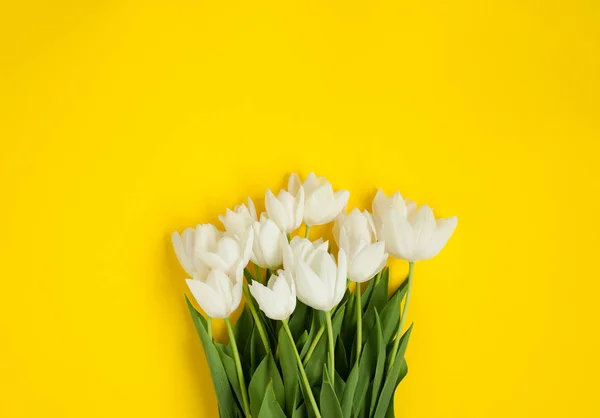 Manojo de tulipanes florecientes — Foto de Stock