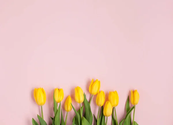 Gula tulpaner sortiment — Stockfoto