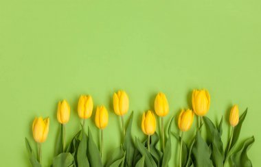 Yeşil Sarı laleler