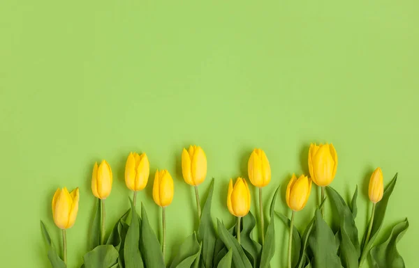 Gule tulipaner på grøn - Stock-foto