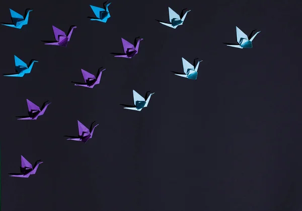 Pássaros origami azul e roxo — Fotografia de Stock