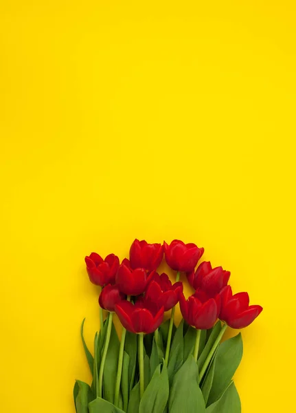 Flores frescas de color rojo brillante — Foto de Stock