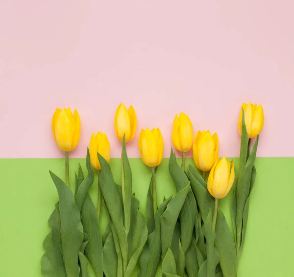 Composición de tulipanes amarillos — Foto de Stock
