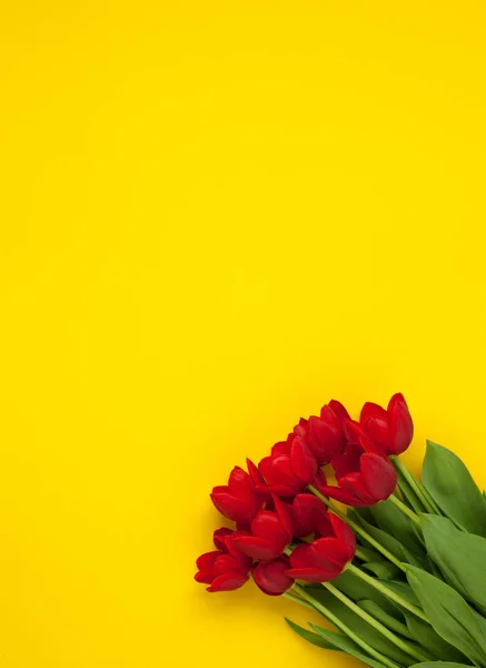 Flores rojas sobre fondo amarillo — Foto de Stock