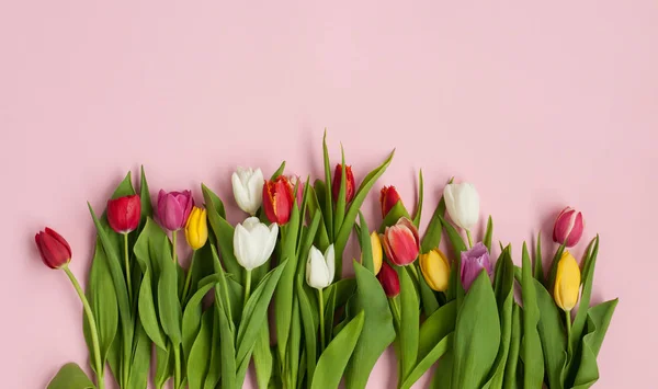 Tulipanes diferentes coloridos — Foto de Stock