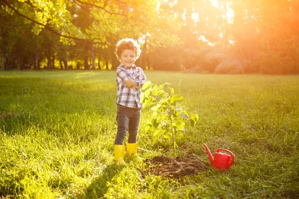 Bedårande pojke stolt med plantering träd — Stockfoto
