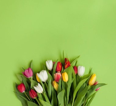 Yeşil yüzey üzerinde renkli çiçekler