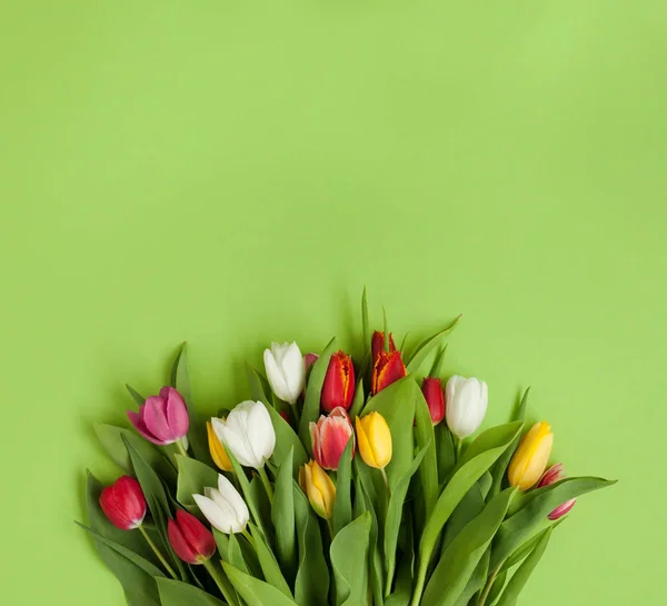 Flores de colores en la superficie verde — Foto de Stock