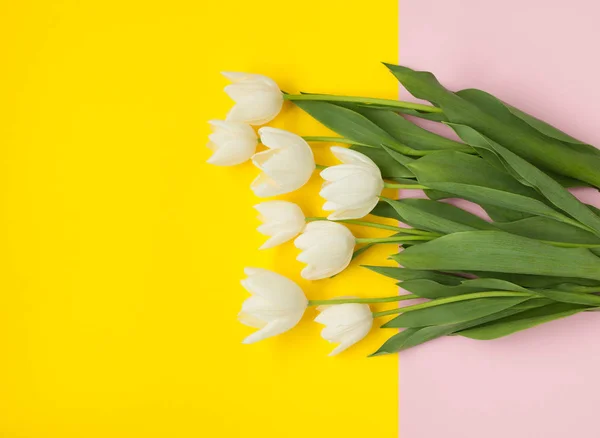 Tulipanes en superficie colorida — Foto de Stock