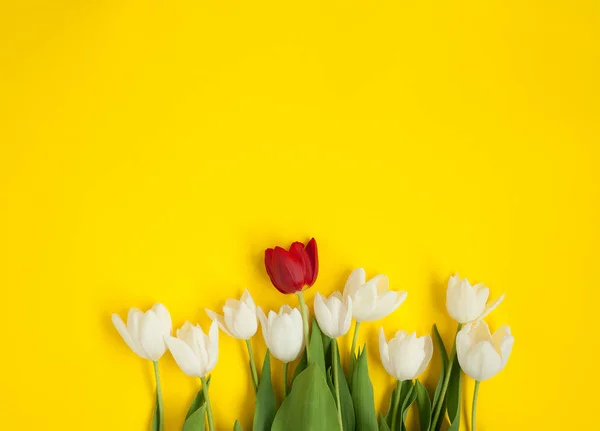 Tulipanes sobre fondo amarillo . — Foto de Stock