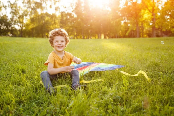 Веселий хлопчик на лузі з повітряним змієм — стокове фото