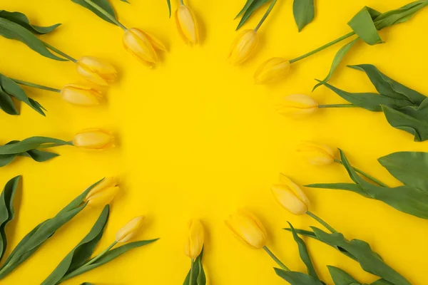Tulipanes amarillos en círculo — Foto de Stock