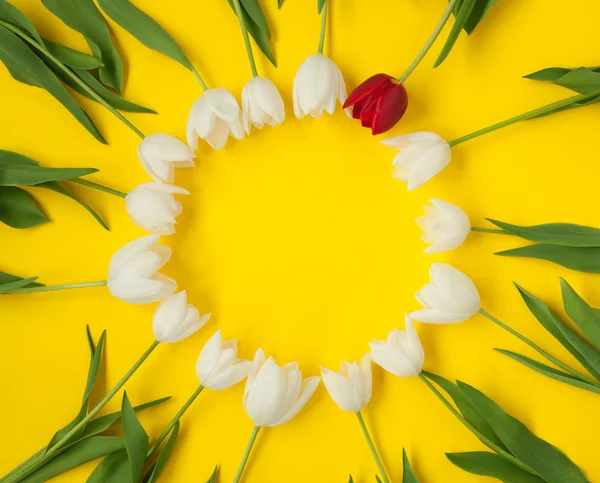 Círculo feito com botões de flores — Fotografia de Stock