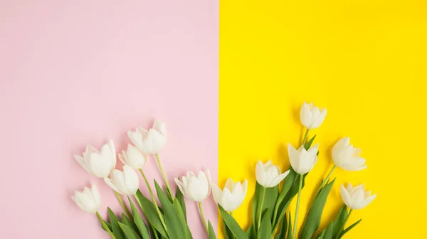 Superficie rosa y amarilla con tulipanes — Foto de Stock