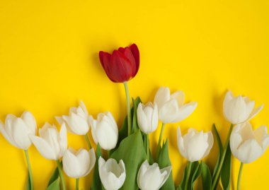 Beyaz grup kırmızı çiçek