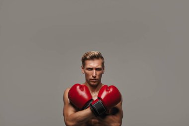 Kırmızı eldiven emin boksör