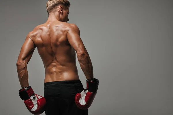 Boxeador muscular posando sobre gris — Foto de Stock