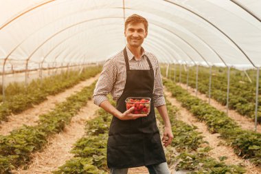 Siyah önlüklü gülümseyen bitki yetiştiricisi ve olgun çilek dolu bir kase.