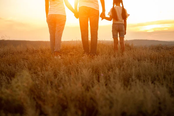 Oigenkännlig familj njuter av solnedgången i naturen — Stockfoto