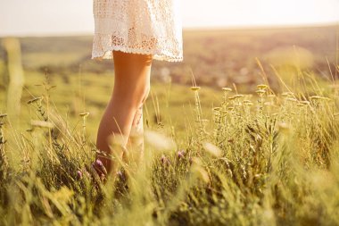 Yaz günü tarlada dikilen ekin dişisi