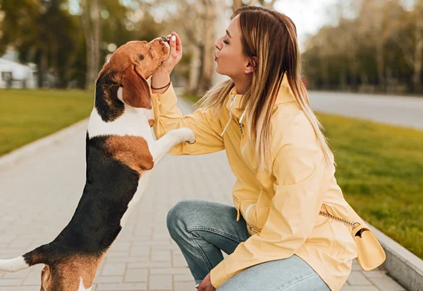 Woman giving yummy to dog in park — Stock Photo, Image