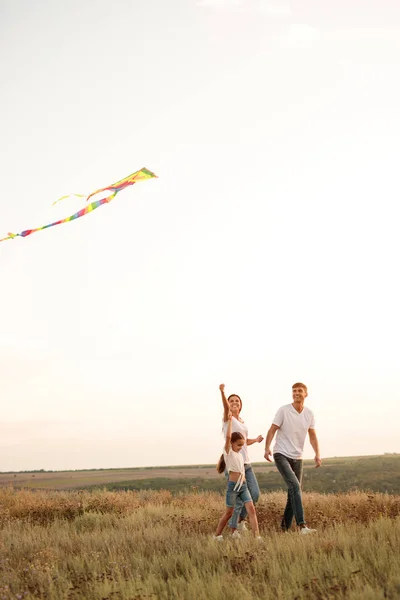 Happy family with kite walking in meadow