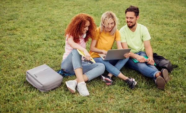 Glada studenter som använder bärbar dator på gräs — Stockfoto
