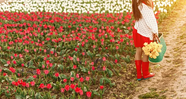 Oříznout samici na cestě poblíž květinového pole — Stock fotografie