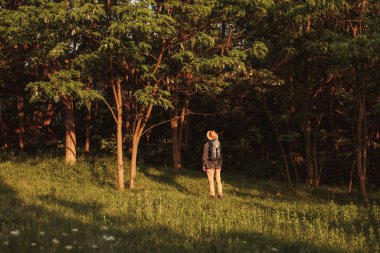 Yeşil ormanda duran kayıp erkek sırt çantalı.