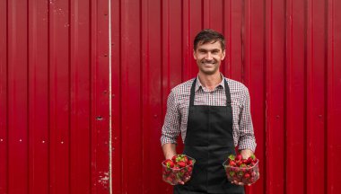 Taze çilekli modern çiftçi.