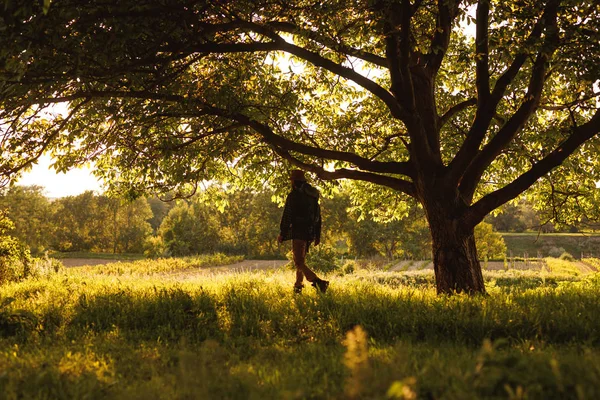 Ενεργός αρσενικό ταξιδιώτη με τα πόδια στο πράσινο δάσος στην ηλιόλουστη μέρα — Φωτογραφία Αρχείου